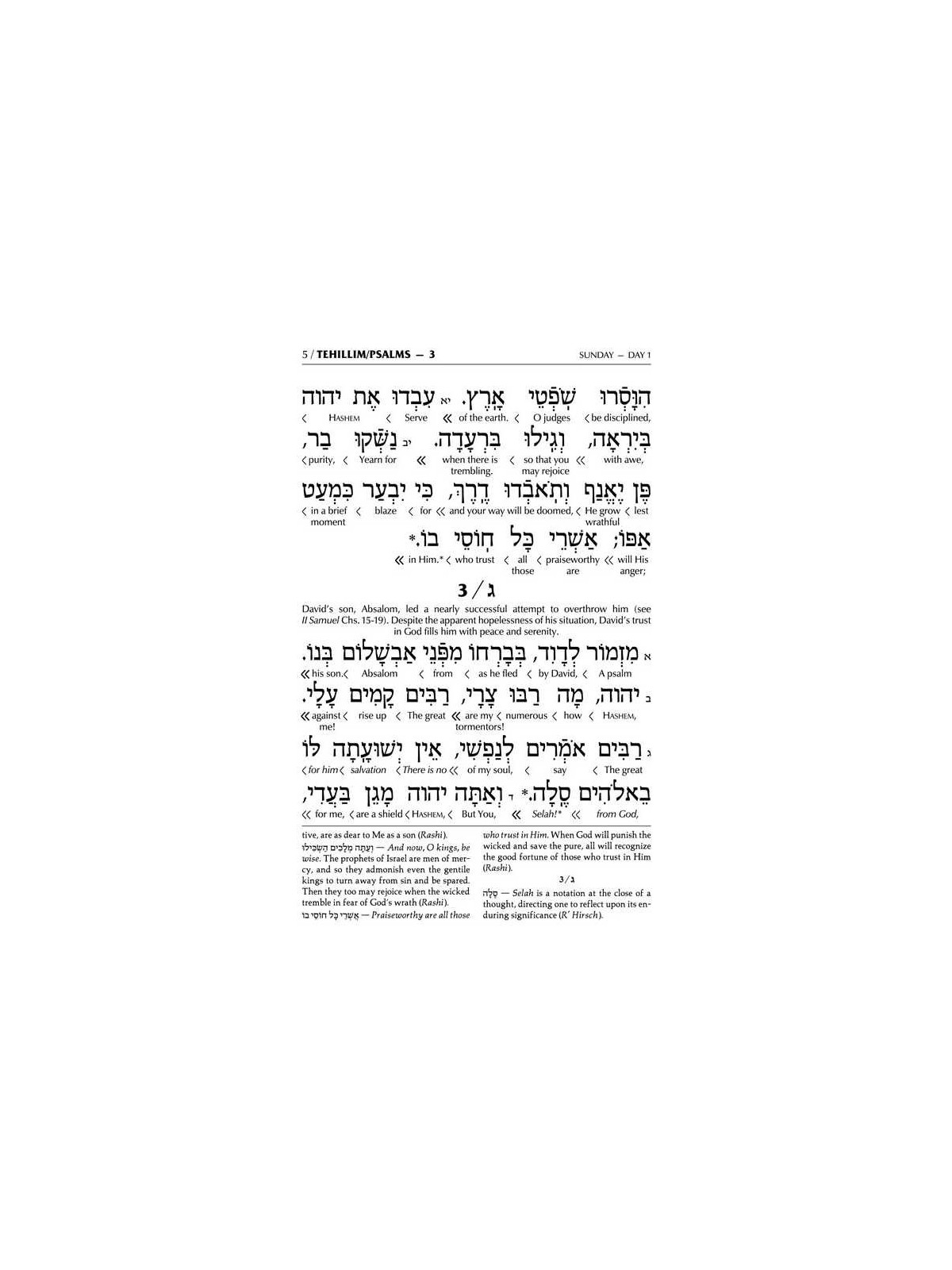 Interlinear Tehillim Full Size Leather White | Books | Judaica