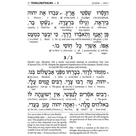 Interlinear Tehillim Full Size Leather Maroon | Books | Judaica