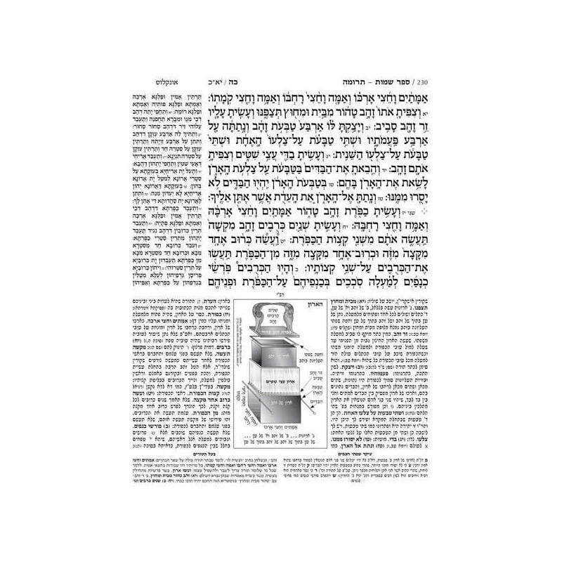 Jaffa Edition Hebrew-Only Chumash Mid-Size | Books | Judaica