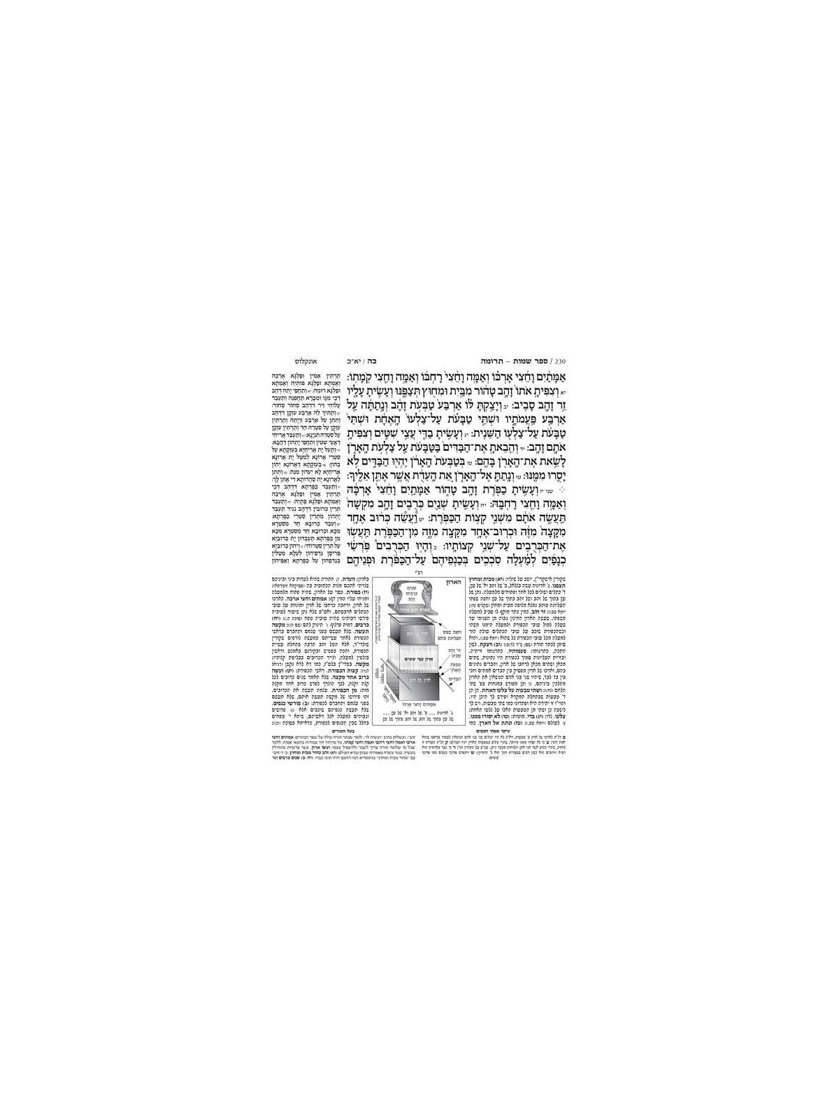 Jaffa Edition Hebrew-Only Chumash Mid-Size | Books | Judaica
