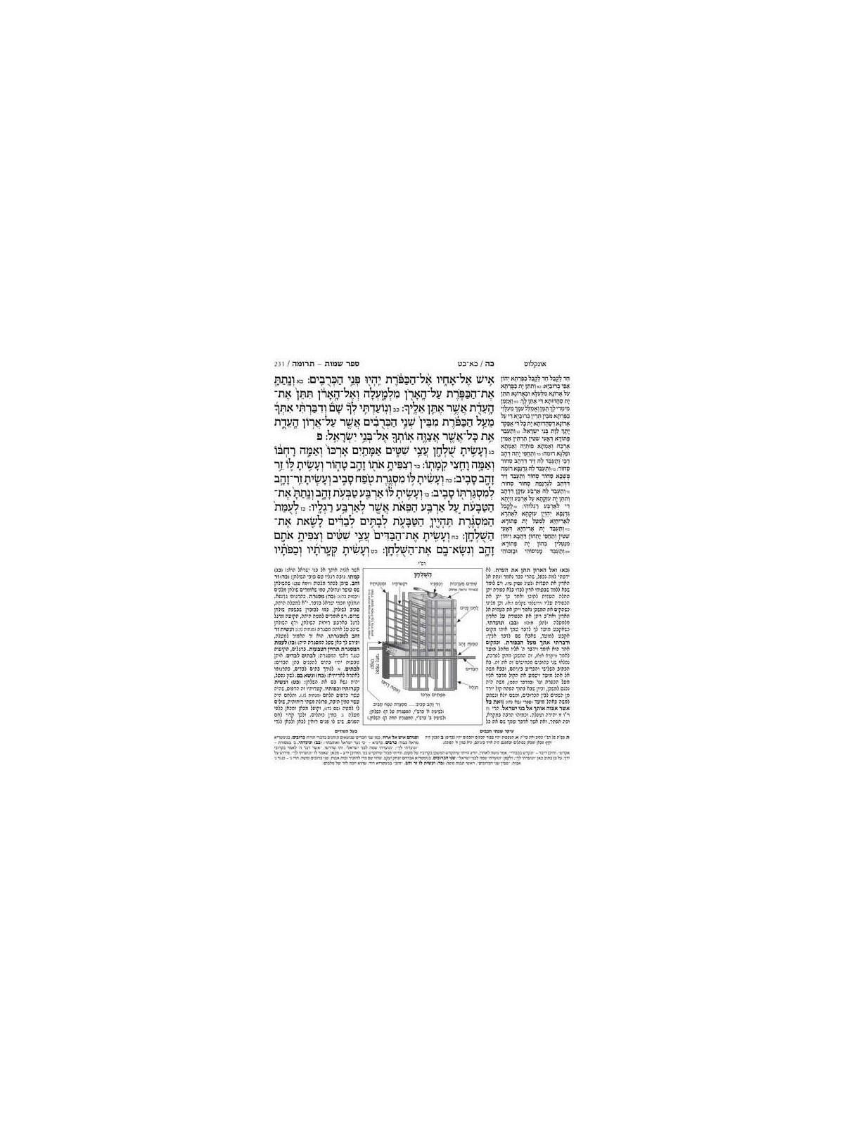 Jaffa Edition Hebrew-Only Chumash Mid-Size | Books | Judaica