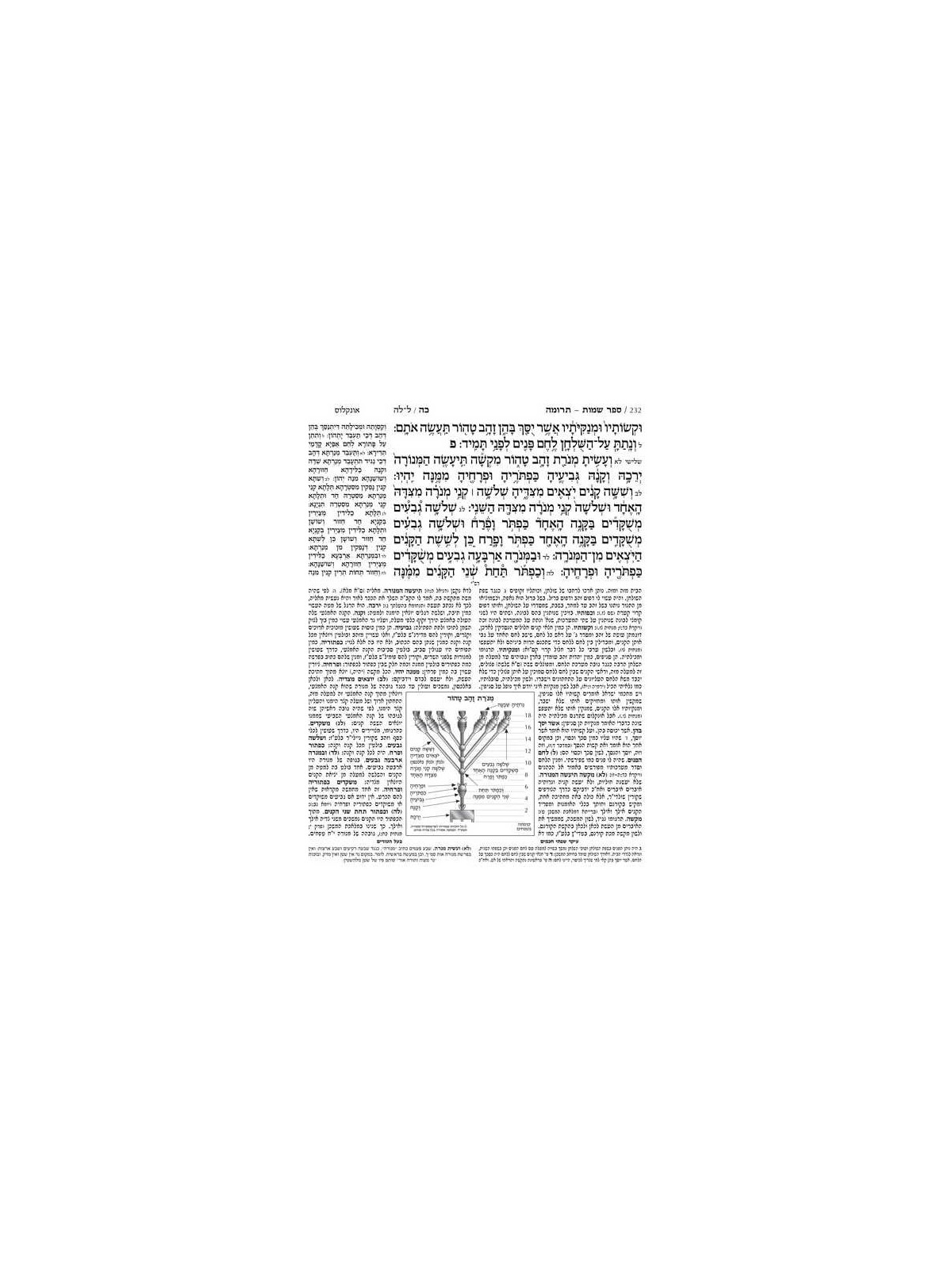 Jaffa Edition Hebrew-Only Chumash Mid-Size | Books | Judaica