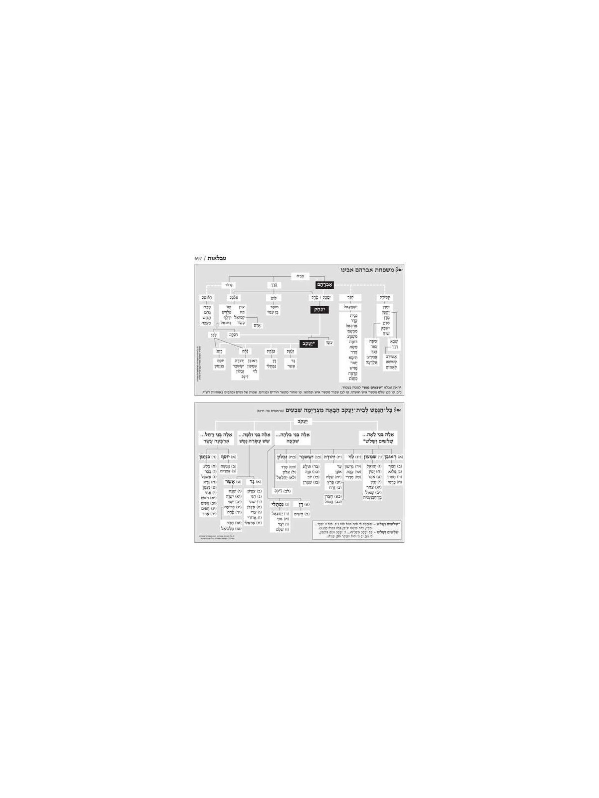 Jaffa Edition Hebrew-Only Chumash Mid-Size | Books | Judaica