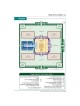 Jaffa Edition Hebrew-Only Pocket Tanach - Hardcove | Books | Judaica