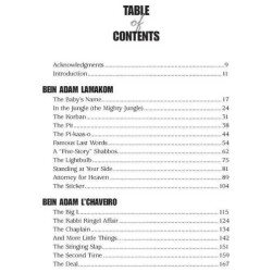 It Could Have Been You Volume 2 - Hardcover | Books | Judaica