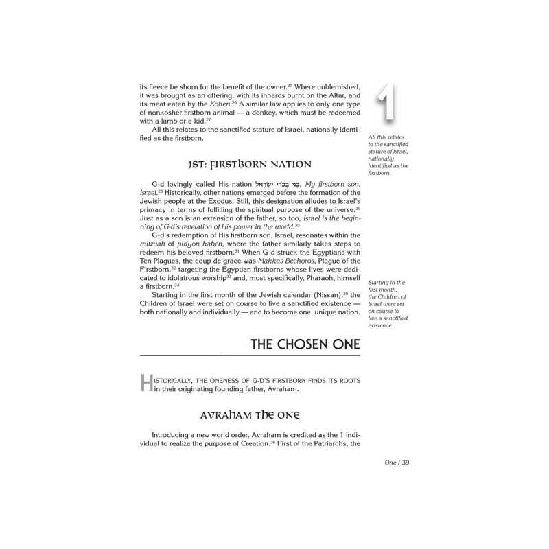 Jewish Wisdom In The Numbers | Books | Judaica