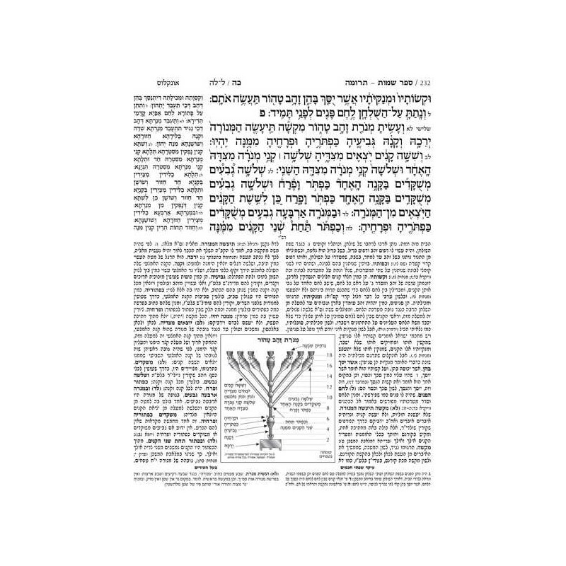 Jaffa Edition Hebrew-Only Chumash Travel Size Sefa | Books | Judaica