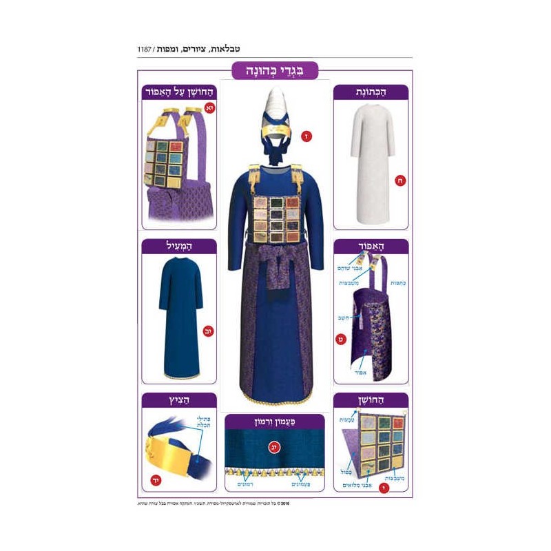 Jaffa Edition Hebrew Only Chazan Size Tanach - Har | Books | Judaica