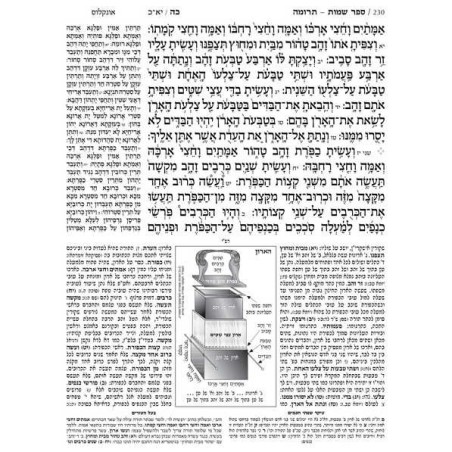 Jaffa Edition Hebrew-Only Chumash | Books | Judaica