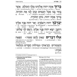 Interlinear Weekday Siddur Full Size - Ashkenaz Wh | Books | Judaica