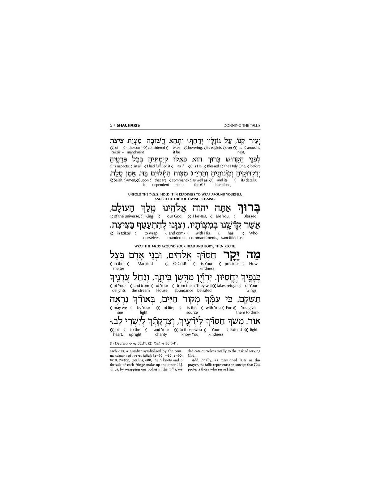 Interlinear Weekday Siddur Full Size - Ashkenaz Wh | Books | Judaica