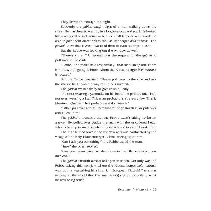 It Could Have Been You Volume 3 - Hardcover | Books | Judaica