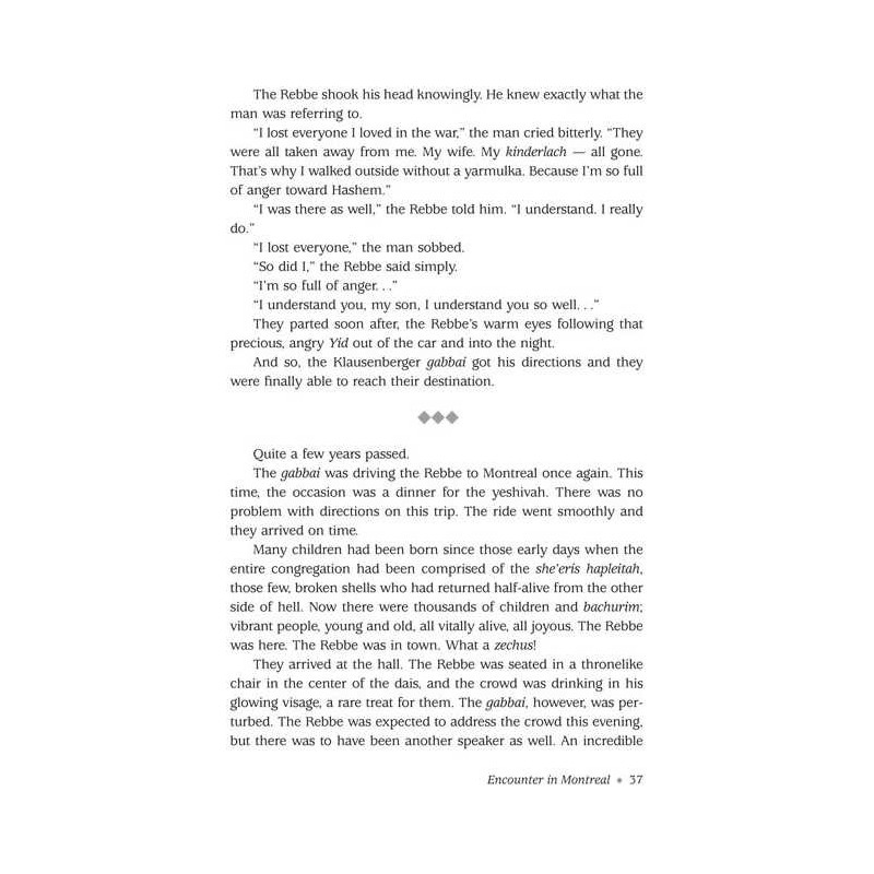 It Could Have Been You Volume 3 - Hardcover | Books | Judaica