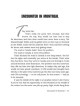 It Could Have Been You Volume 3 - Hardcover | Books | Judaica