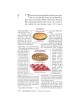 Yad Avraham Mishnah Series:35 Tractate Keilim Vol  | Books | Judaica