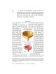 Yad Avraham Mishnah Series:35 Tractate Keilim Vol  | Books | Judaica