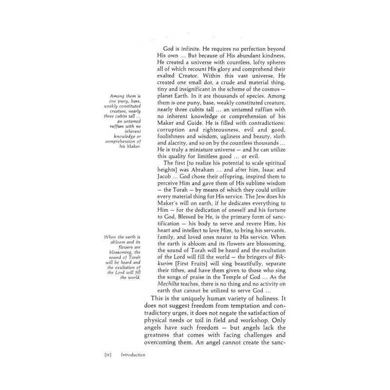 Kaddish - Hardcover | Books | Judaica