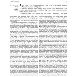 Kesuvim: Divrei Hayomim / Chronicles | Books | Judaica