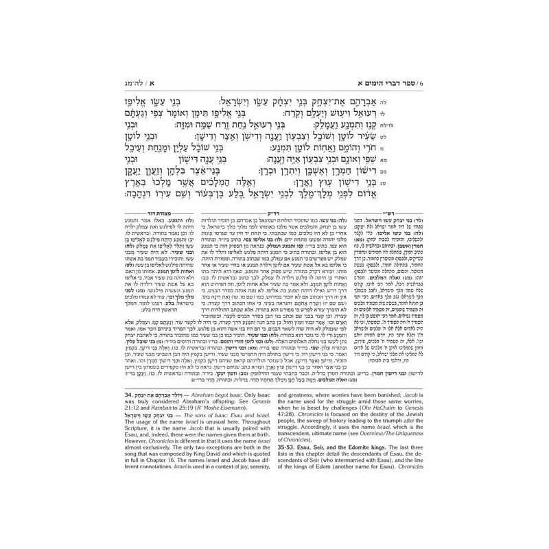 Kesuvim: Divrei Hayomim / Chronicles | Books | Judaica