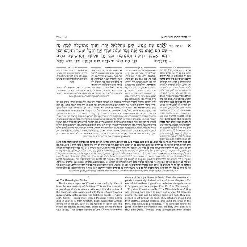 Kesuvim: Divrei Hayomim / Chronicles | Books | Judaica