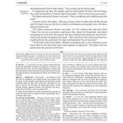 Kesuvim: Iyov | Books | Judaica