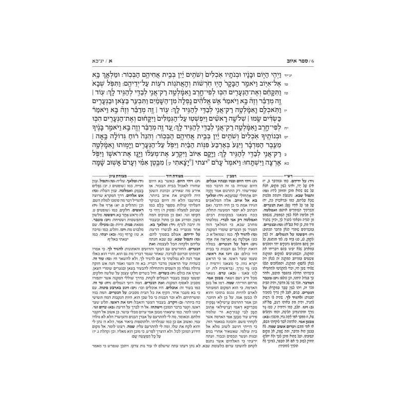 Kesuvim: Iyov | Books | Judaica