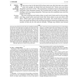 Kesuvim: Iyov | Books | Judaica