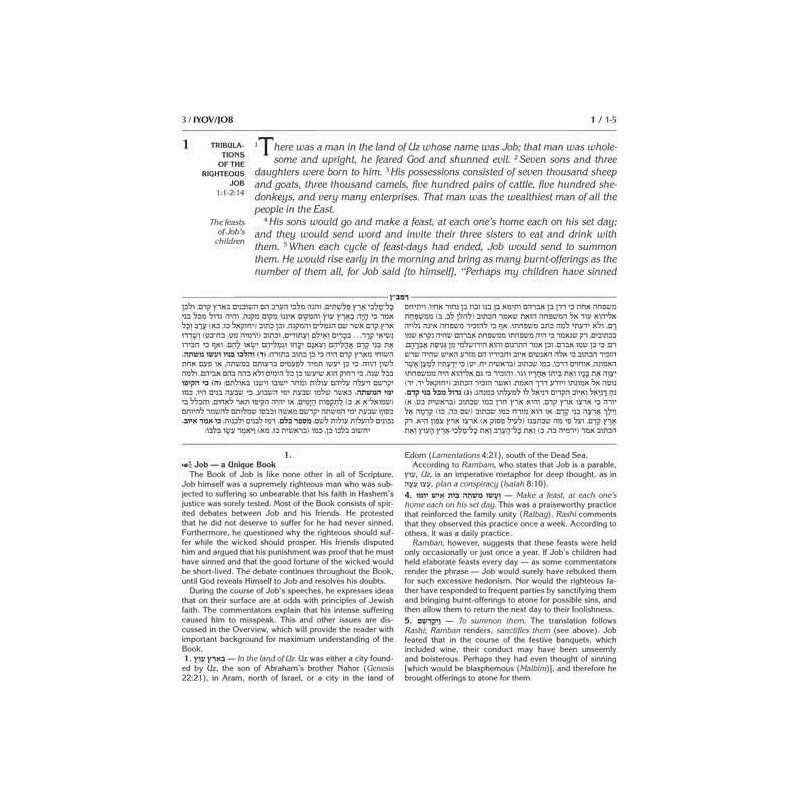 Kesuvim: Iyov | Books | Judaica