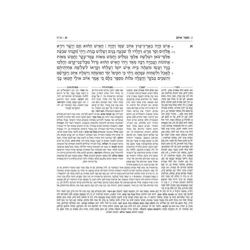 Kesuvim: Iyov | Books | Judaica