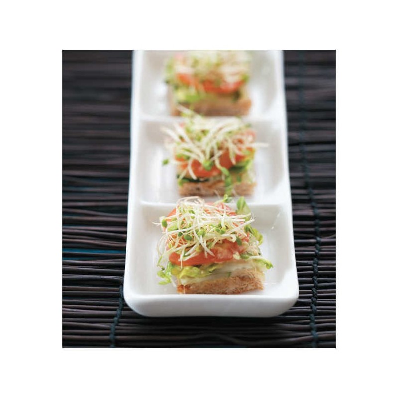 Kosher By Design Lightens Up | Books | Judaica