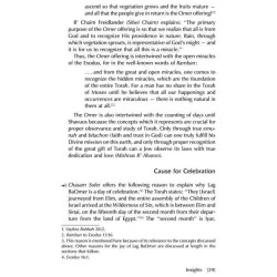 Lag B'Omer [Holiday Series] Hardcover | Books | Judaica