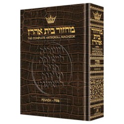 Machzor Pesach - Pocket Ashkenaz - Alligator Leath | Books | Judaica