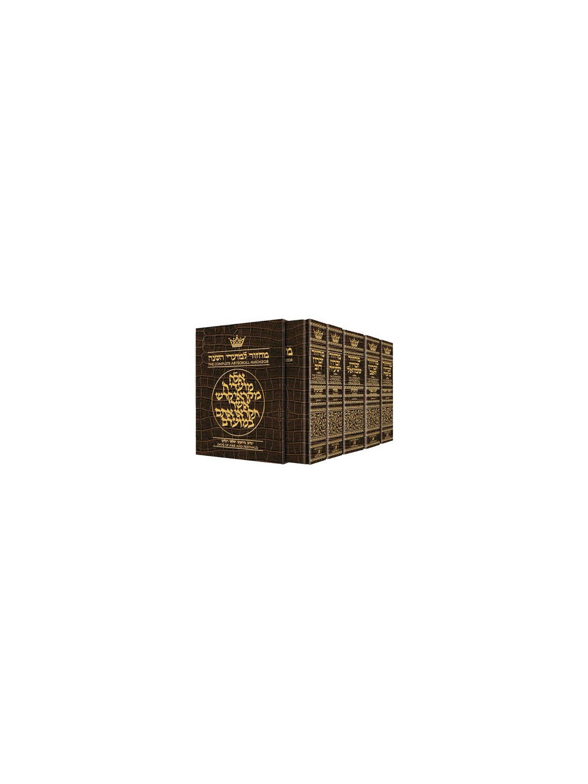 Machzor 5 Vol Slipcased Set - Alligator Leather -  | Books | Judaica