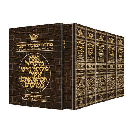 Machzor 5 Vol Slipcased Set Pocket Size Alligator  | Books | Judaica