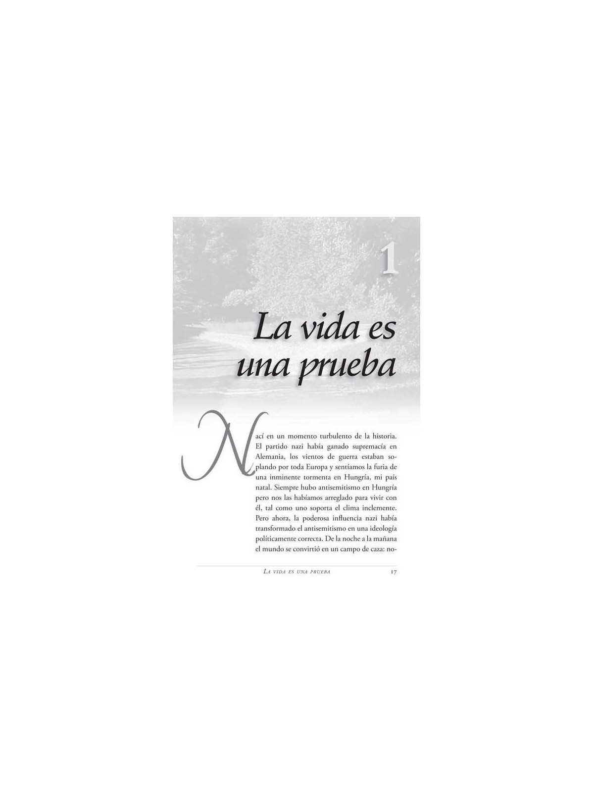 Life is a Test - Spanish Edition - Paperback | Books | Judaica