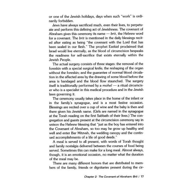 Living Jewish - Shaar Press - Hardcover | Books | Judaica