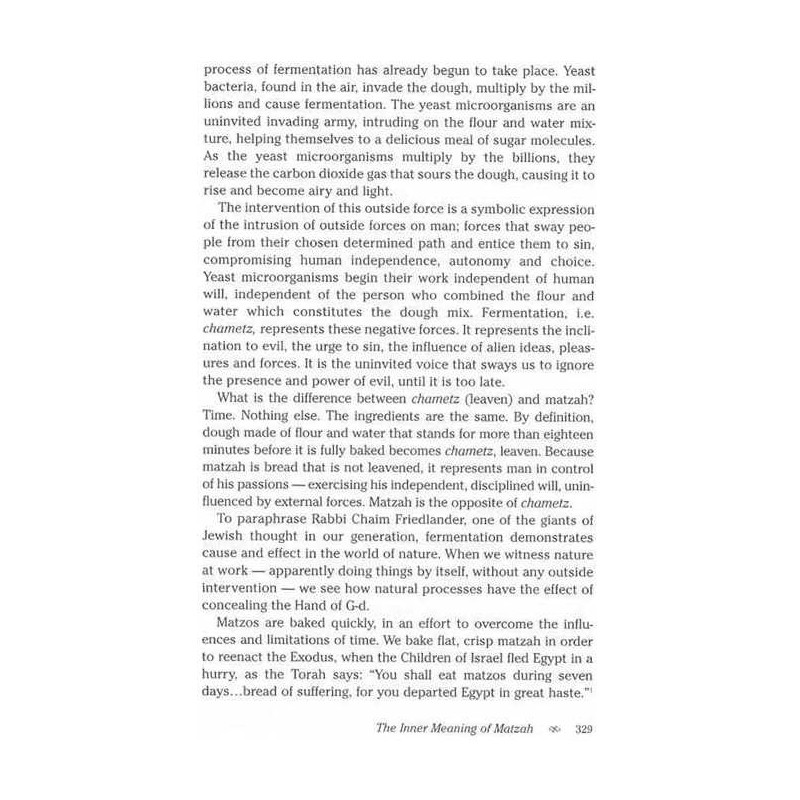 Living Beyond Time - Hardcover | Books | Judaica