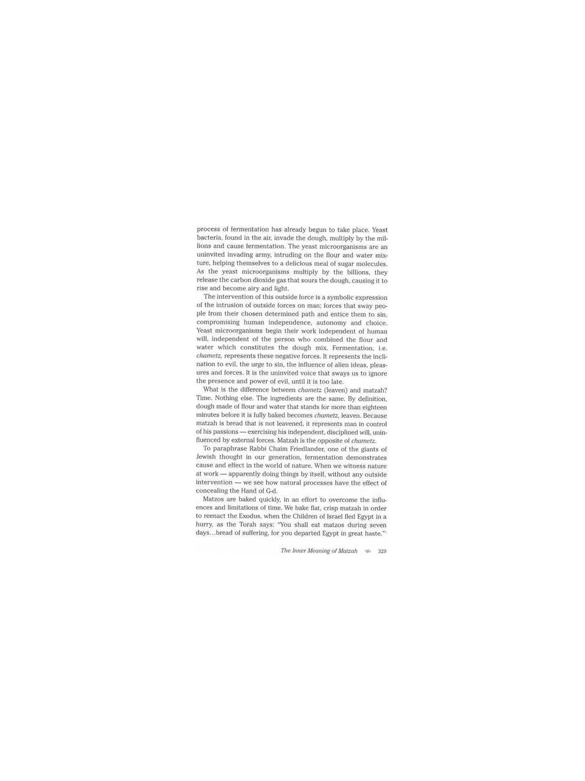 Living Beyond Time - Hardcover | Books | Judaica