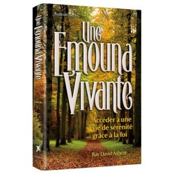 Living Emunah - French Edition Hardcover | Books | Judaica