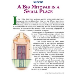 Maggid Stories For Children: Holidays and Around t | Books | Judaica