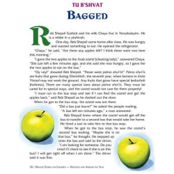 Maggid Stories For Children: Holidays and Around t | Books | Judaica