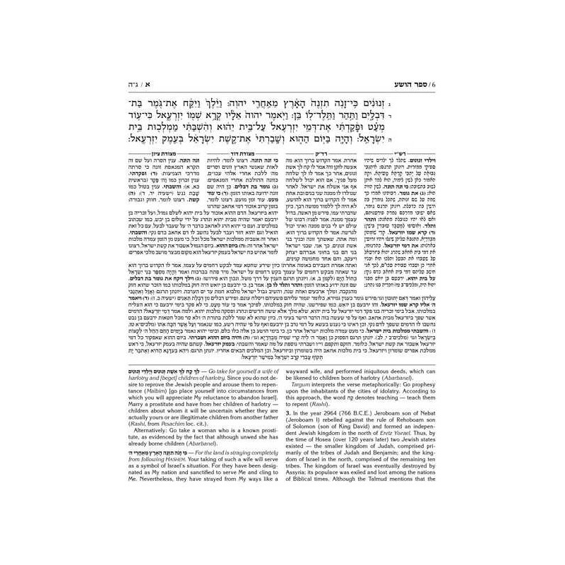 Milstein Twelve Prophets - Leather | Books | Judaica