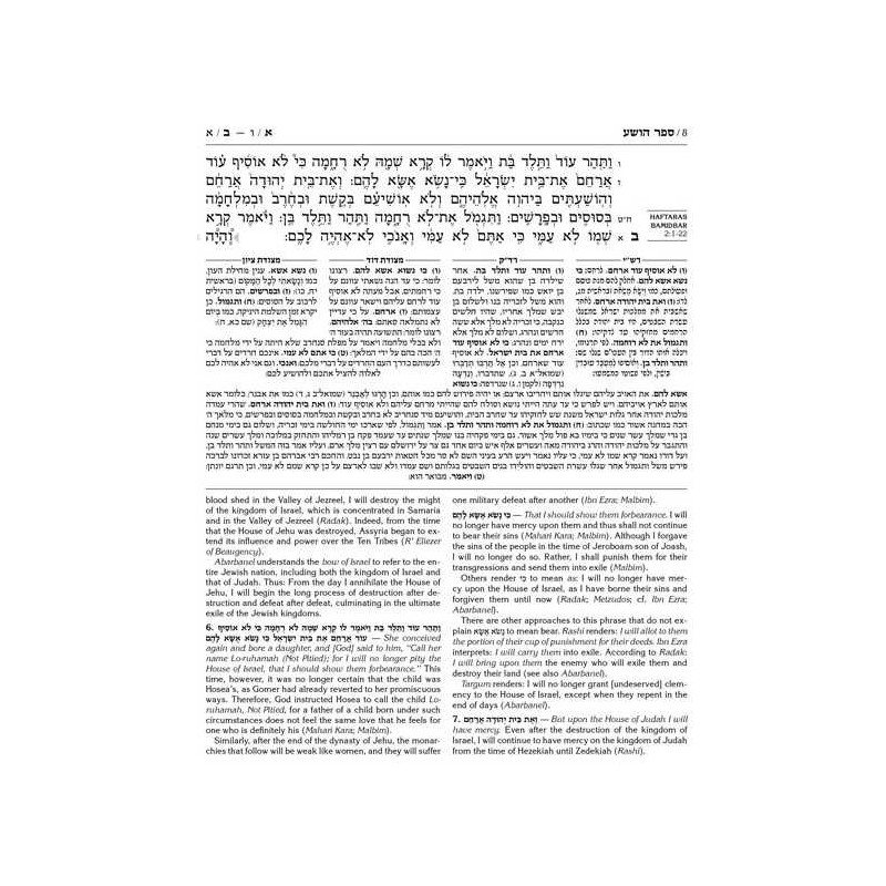 Milstein Twelve Prophets - Leather | Books | Judaica