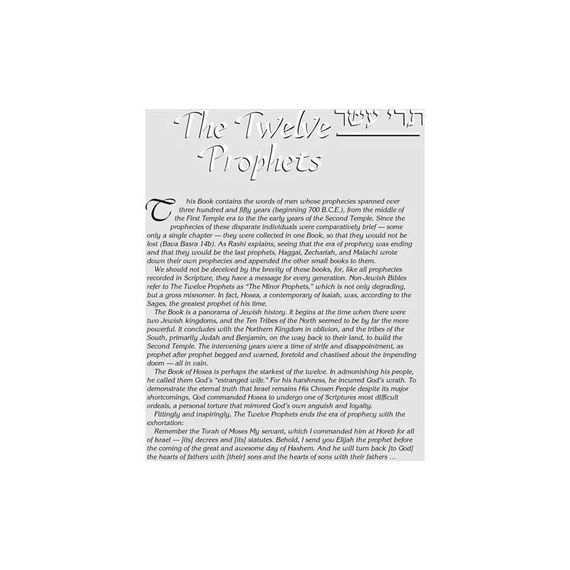 Milstein Twelve Prophets - Leather | Books | Judaica