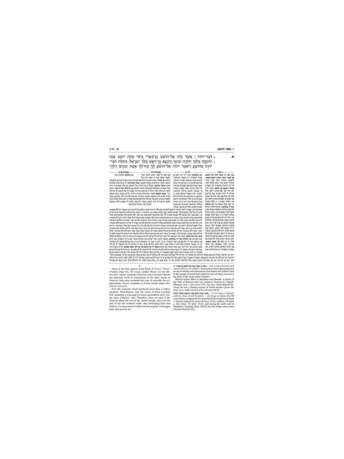 Milstein Twelve Prophets - Leather | Books | Judaica