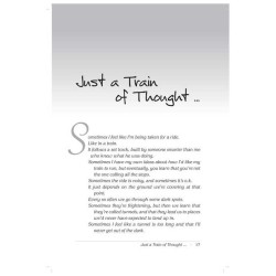 Miracle Ride - Hardcover | Books | Judaica