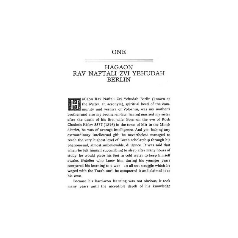 My Uncle The Netziv - Hardcover | Books | Judaica