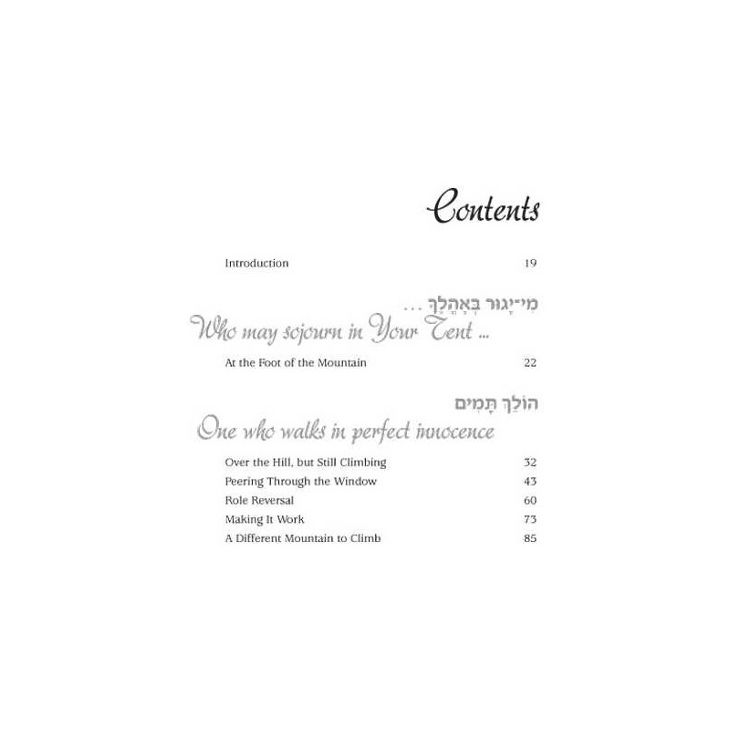 Mountain Climbers - Hardcover | Books | Judaica