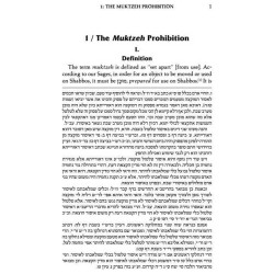 Muktzeh: A Practical Guide - Hardcover | Books | Judaica