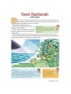 My First Book Of Jewish Holidays - Hardcover | Books | Judaica